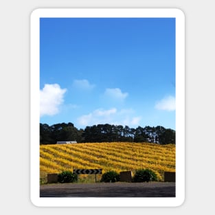 Its a Sign - Adelaide Hills - Fleurieu Peninsula - Mclaren Vale vineyard Sticker